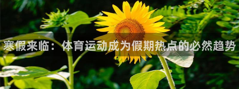 五星体育电话