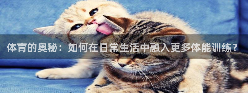 五星体育地址：体育的奥秘：如何在日常生活中融入更多体能训练？