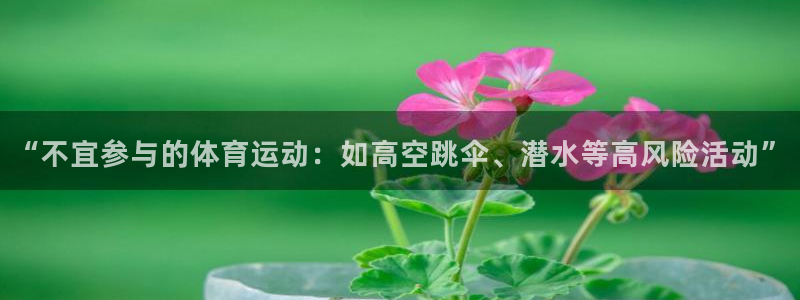 五星体育app叫什么