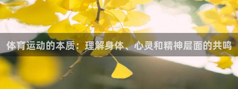 五星体育电视节目单