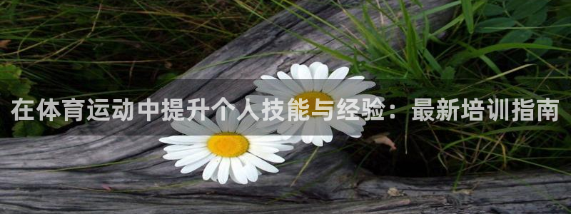 2010年五星体育：在体育运动中提升个人技能与经验：最新培训指南